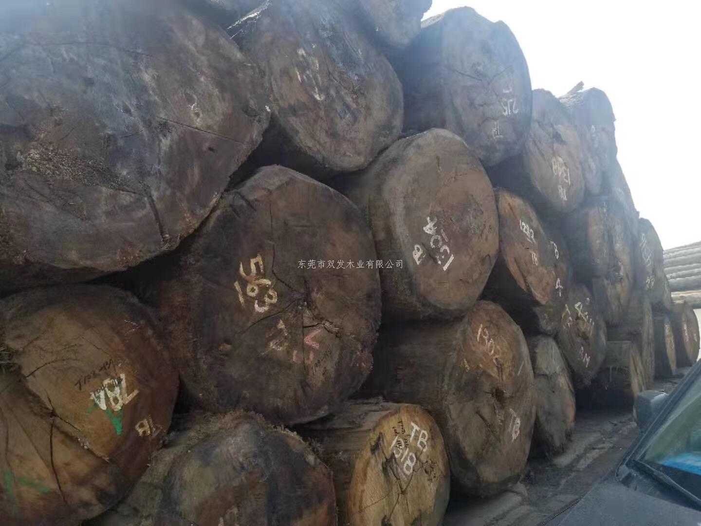 迎7月家具展，雙發(fā)木業(yè)原木加工進行中。。